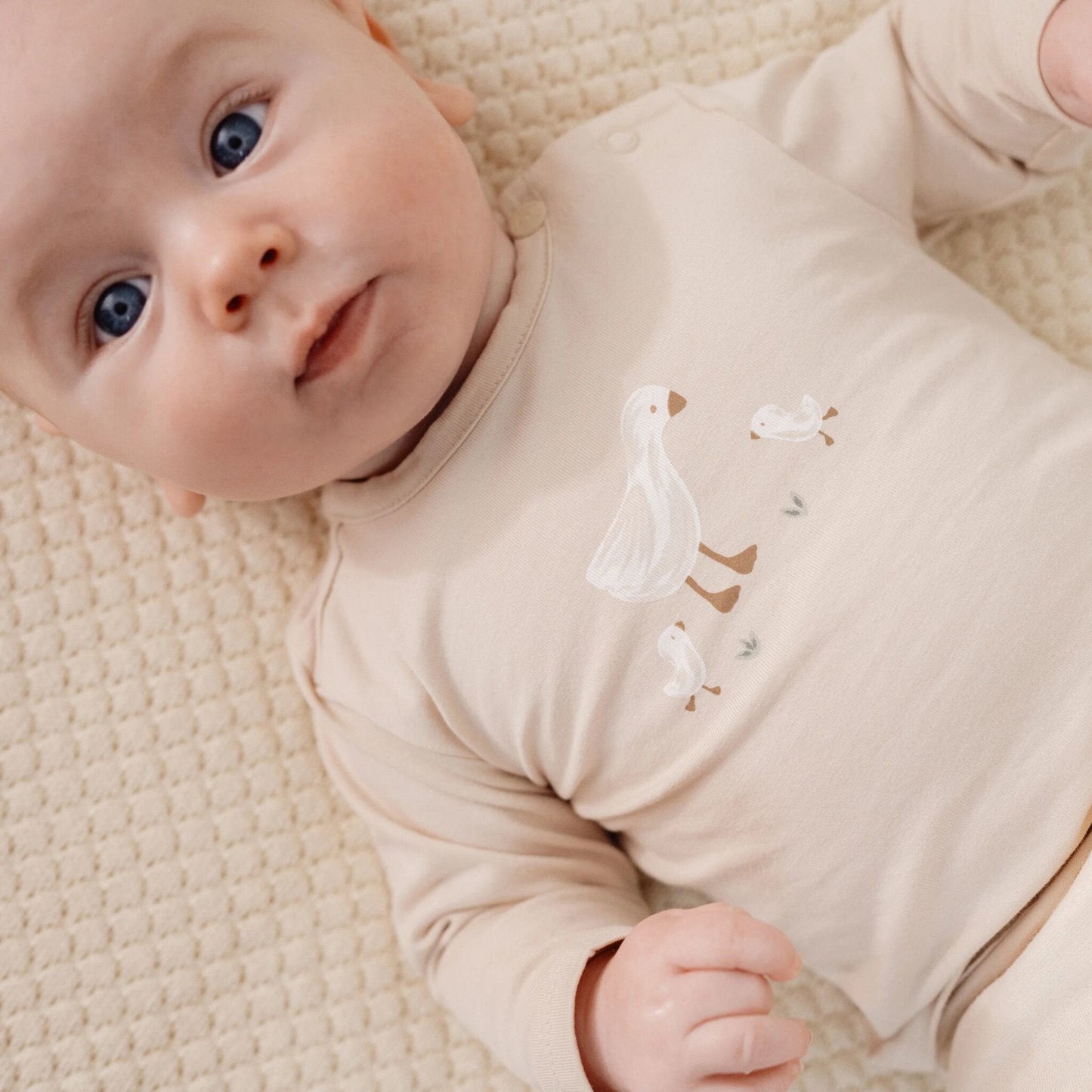 Shirt lange mouw - Zand - Newborn Naturals - Little Goose