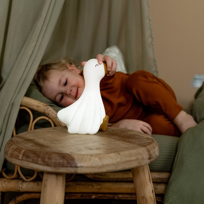 Nachtlampje Little Goose