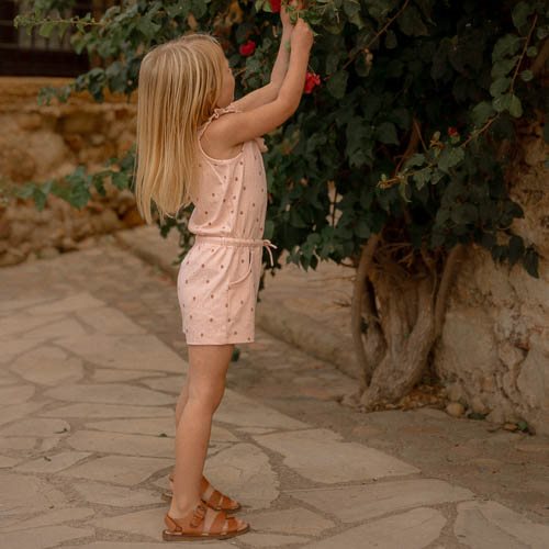 Kort tuinpak - Roze - Fairy Garden