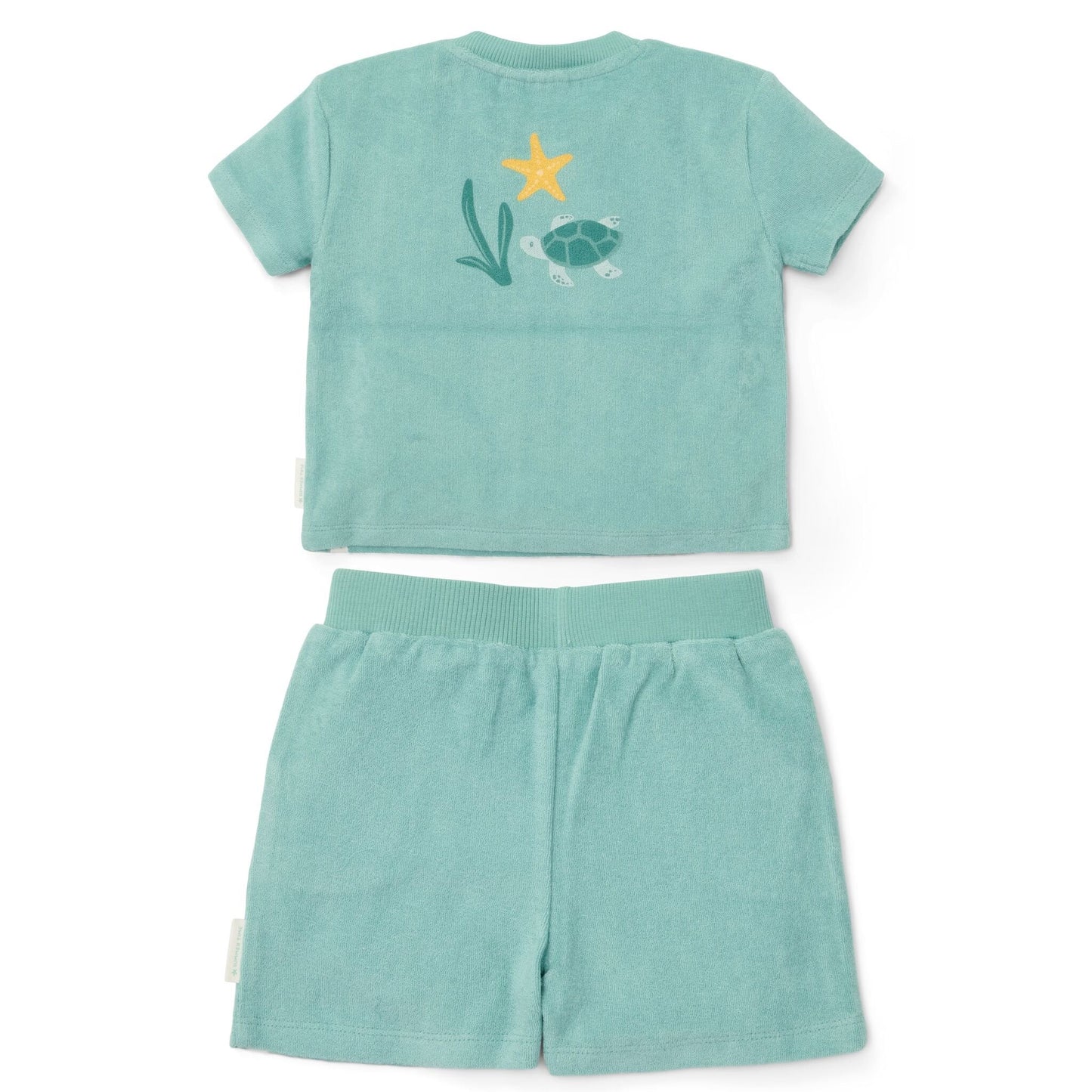 T-shirt en Short - Groen - Seashells and Stripes
