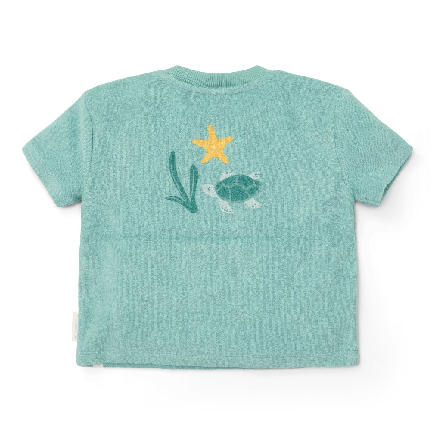 T-shirt en Short - Groen - Seashells and Stripes