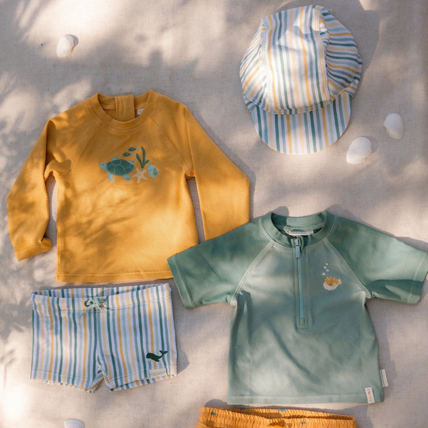 Zwempet - Meerkleurig - Seashells and Stripes - Gestreept