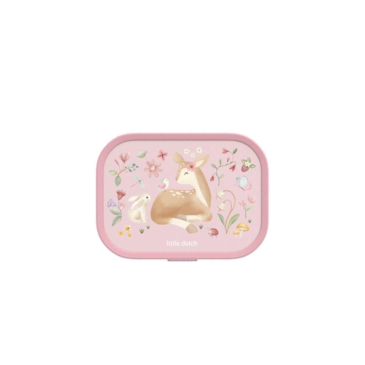 Lunchbox Fairy Garden