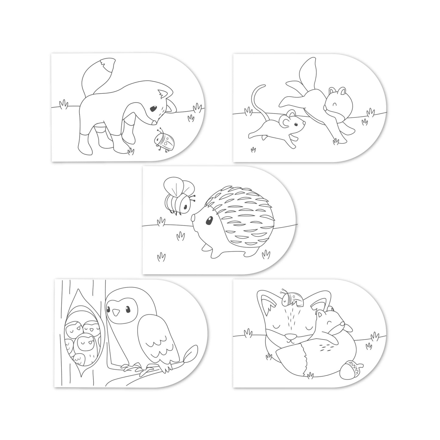 Verfboek Forest Friends