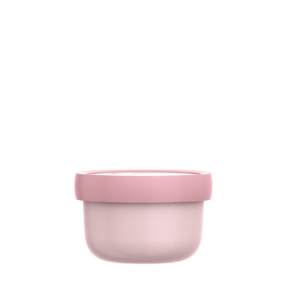 Fruitbox Campus 300 ml Fairy Garden