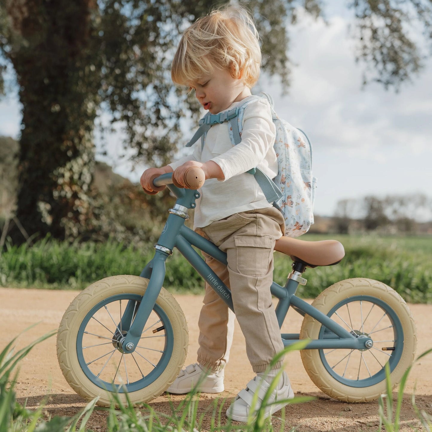 Loopfiets Mat Blauw