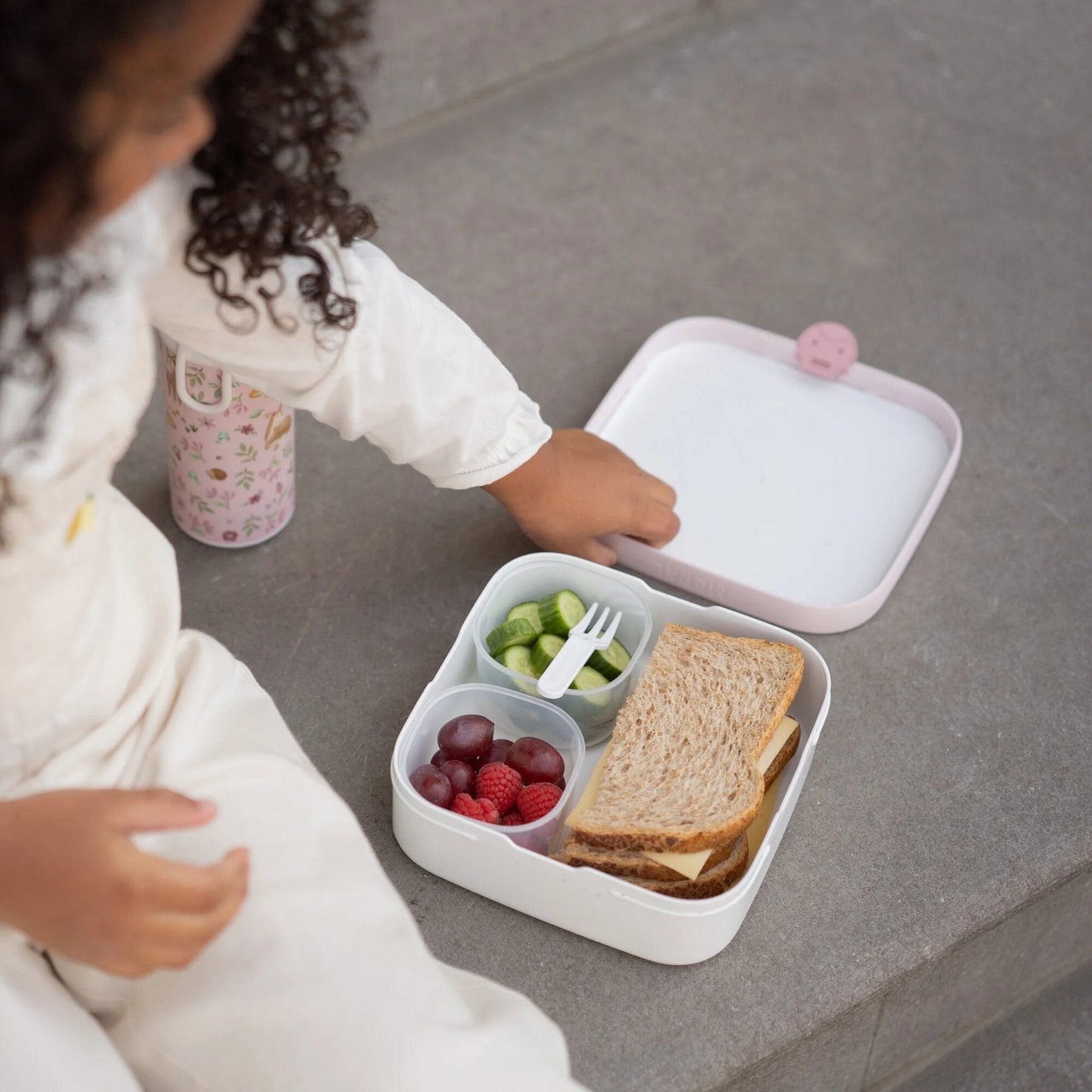 Bento Lunchbox groot Fairy Wonders