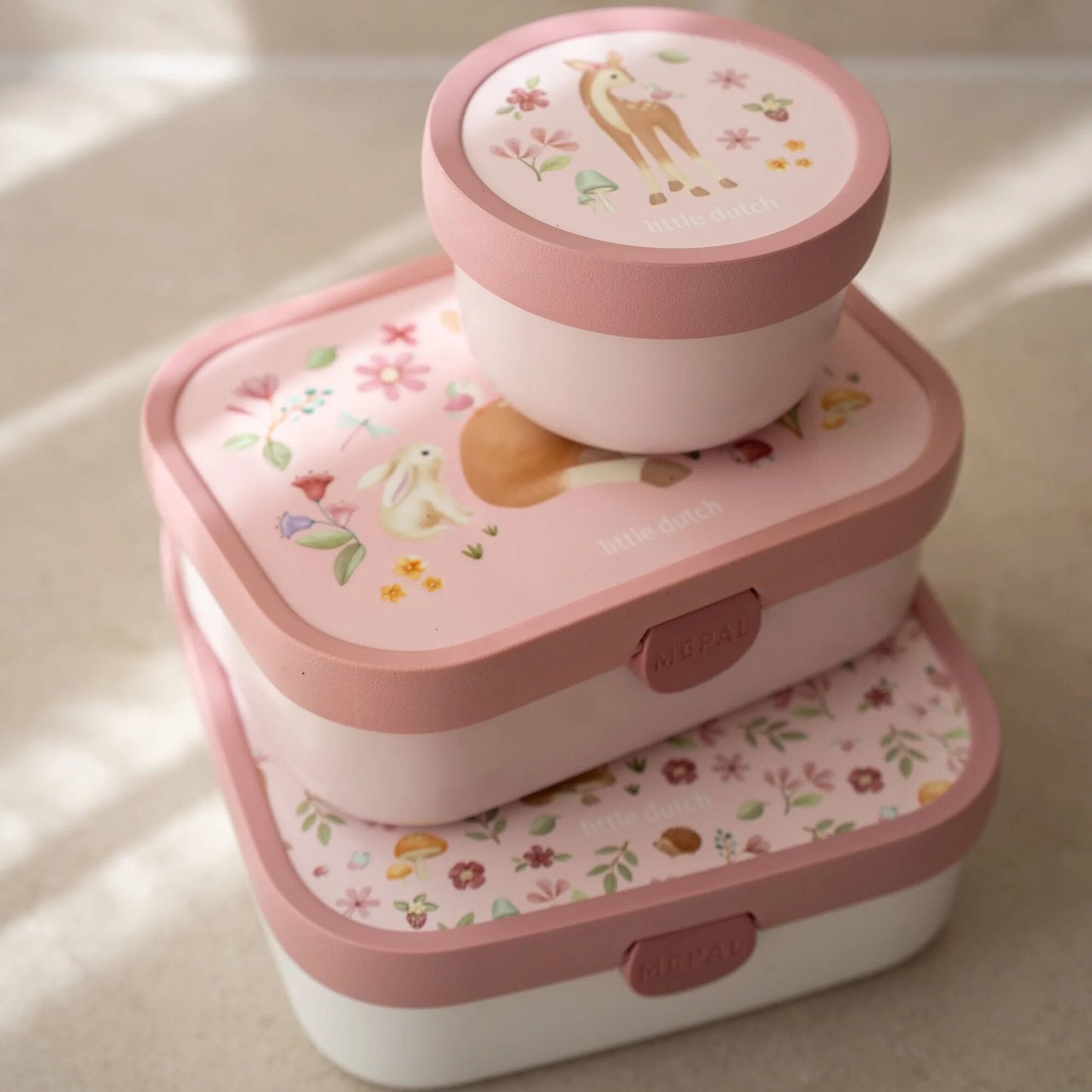 Lunchbox Fairy Garden