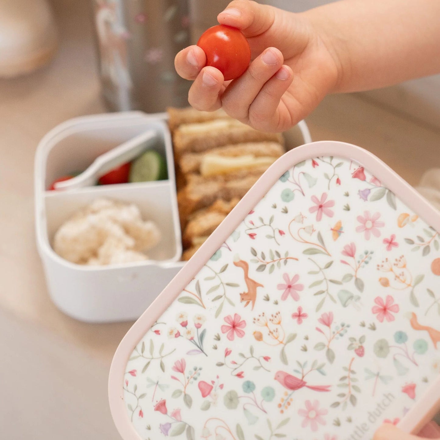 Lunchbox Fairy Wonders