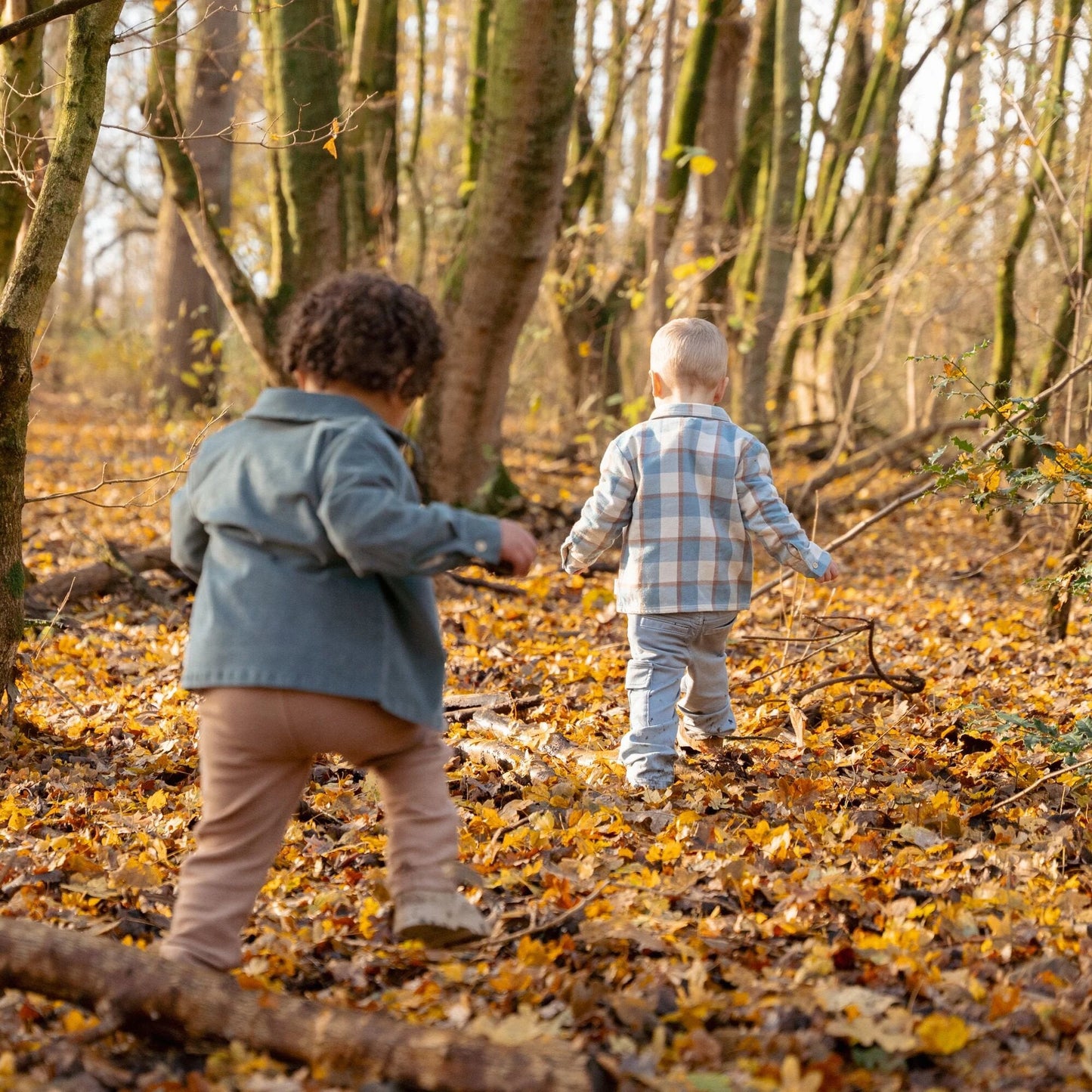 Broek - Joggingstof - Blauw - Forest Friends