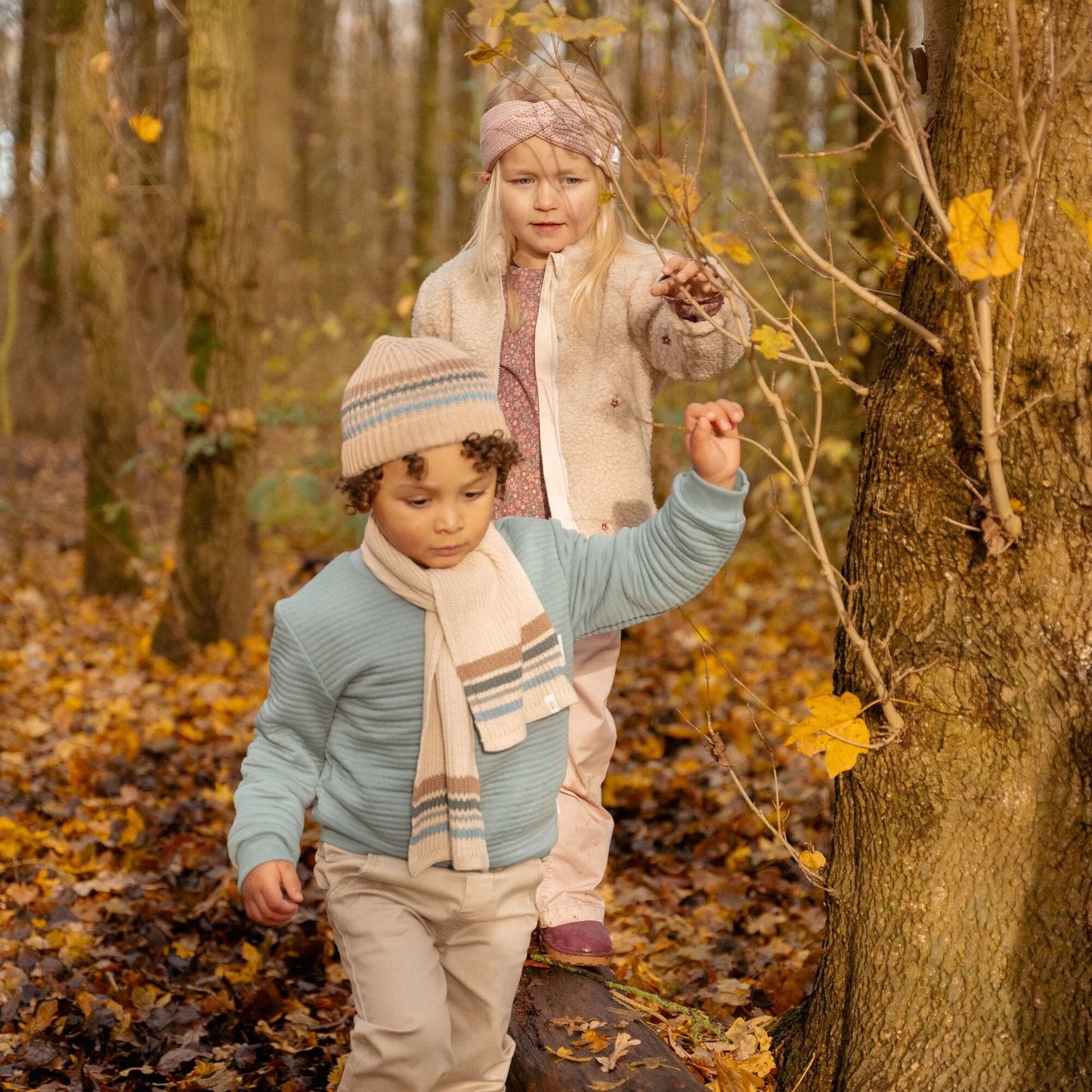 Muts - Bruin - Forest Friends - Stripe