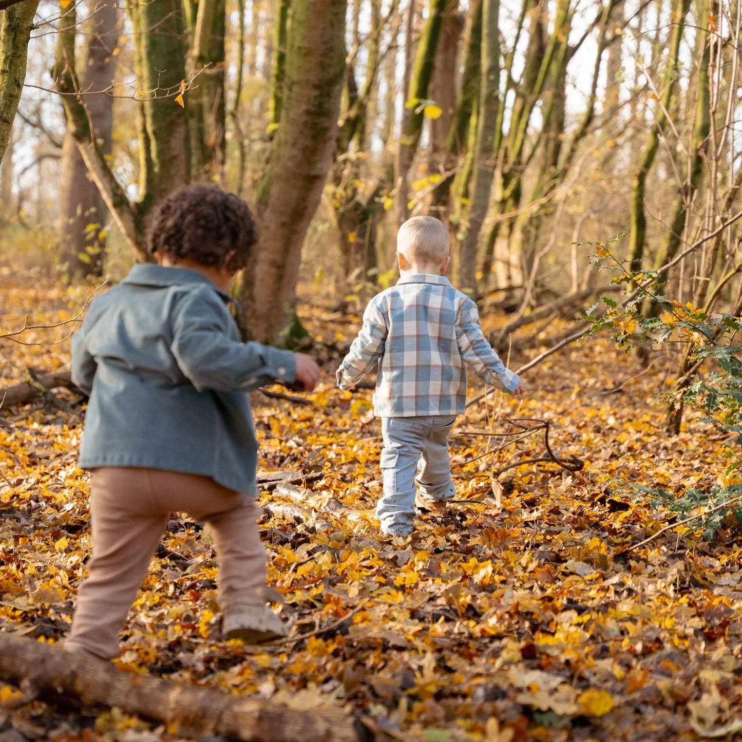 Overhemd - Blauw - Forest Friends
