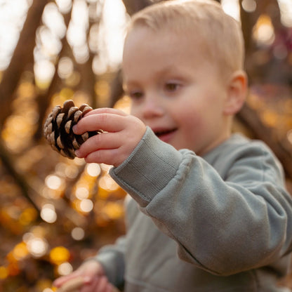 Sweater - Groen - Forest Friends