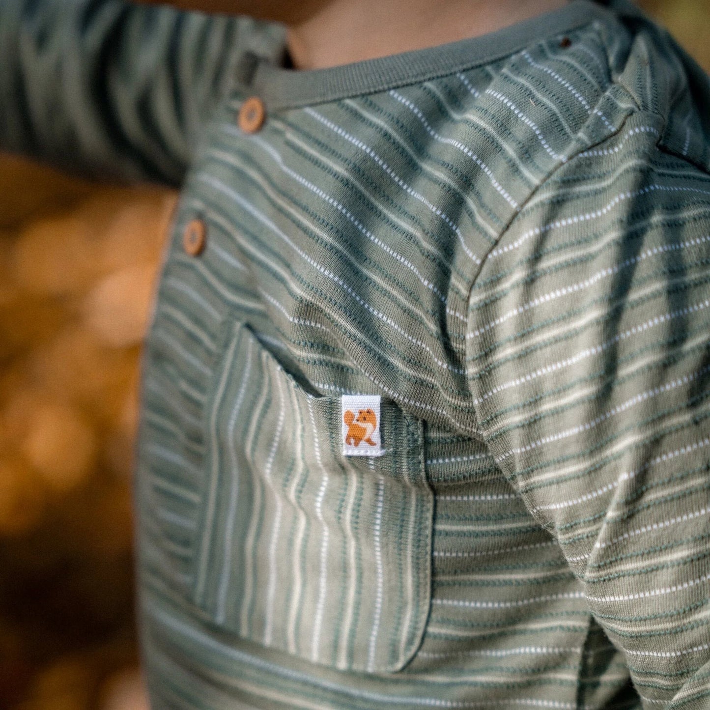 Shirt lange mouw - Groen - Forest Friends - Stripe