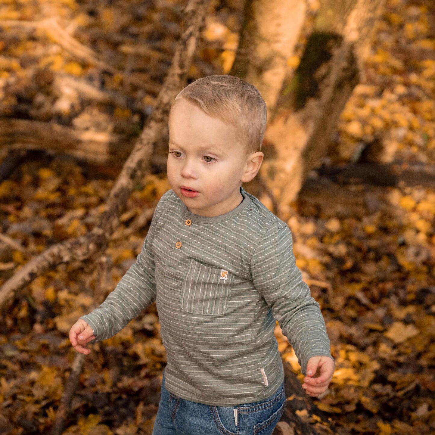 Shirt lange mouw - Groen - Forest Friends - Stripe