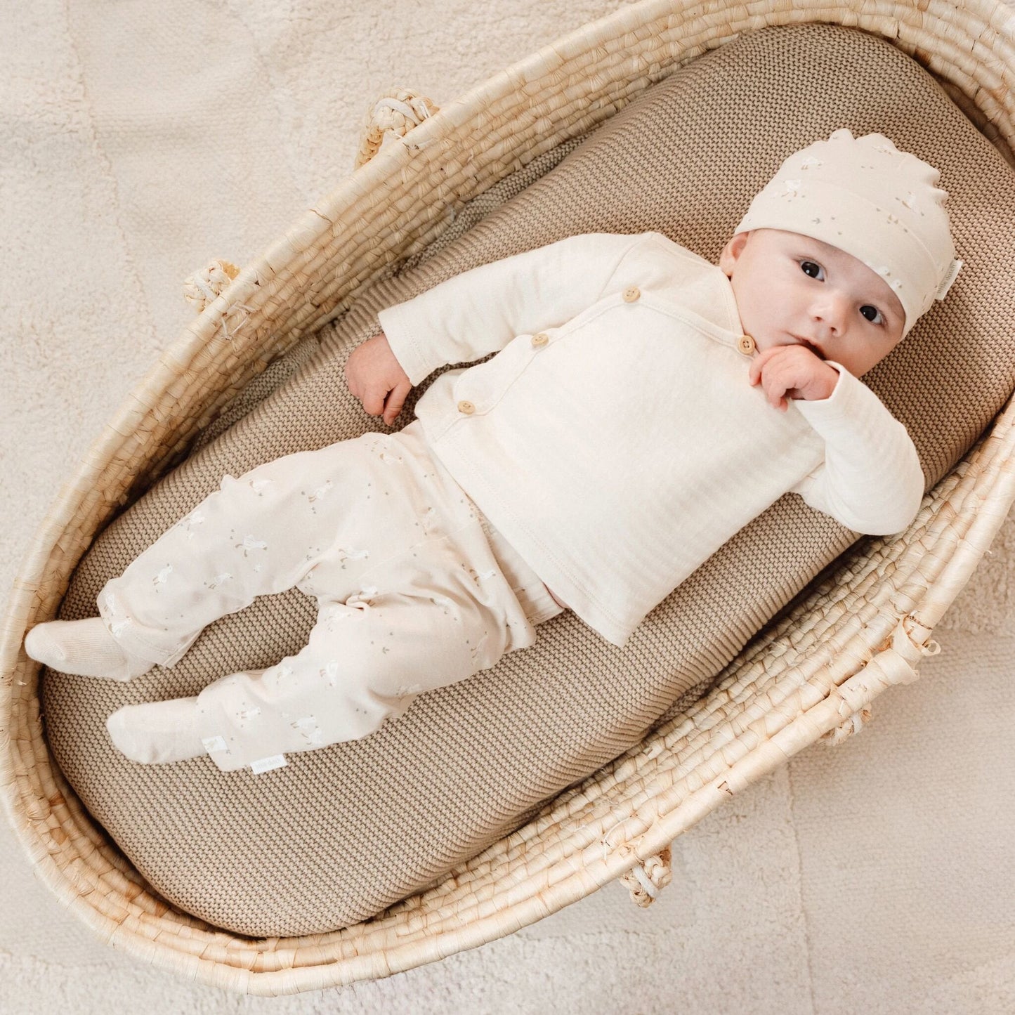 Legging - Beige - Newborn Naturals - Little Goose
